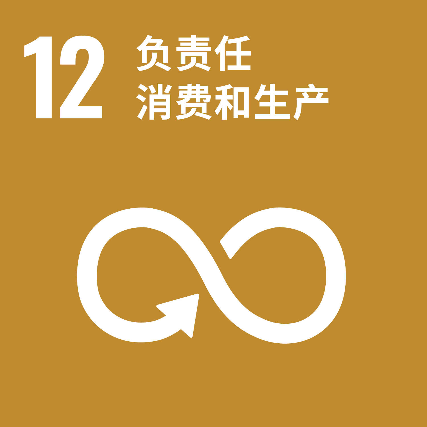 Smith积极践行联合国可持续发展目标,不断深化可持续发展的全球影响力 5 SDG 12