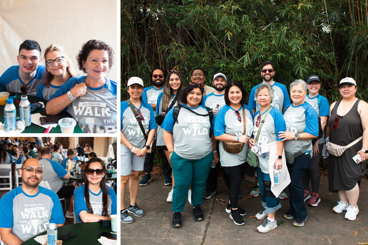 CHIPS Newsletter Graphics